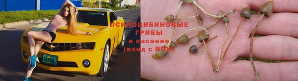 стафф Покачи