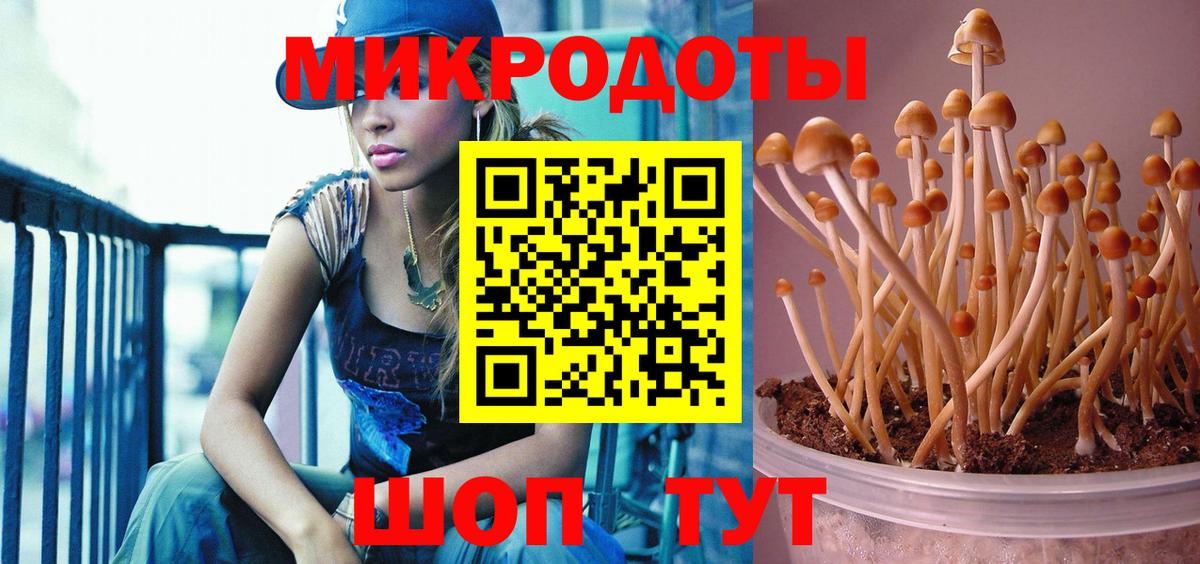Псилоцибиновые грибы GOLDEN TEACHER  Псилоцибиновые грибы мухоморы  Майский  Вход с VPN 