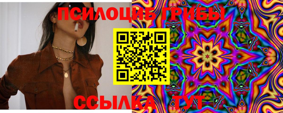 Галлюциногенные грибы Psilocybe Майский